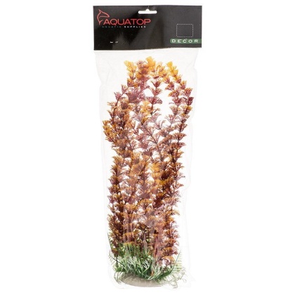 Aquatop Cabomba Aquarium Plant - Fire - 12\