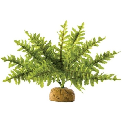 Exo Terra Boston Fern Terrarium Plant - Small - 1 count